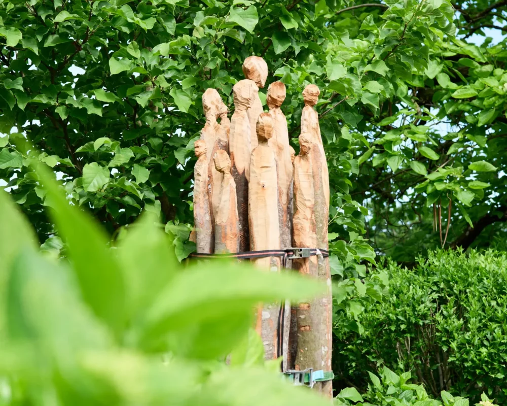 Aufbau der Ausstellung von Janine Rogen