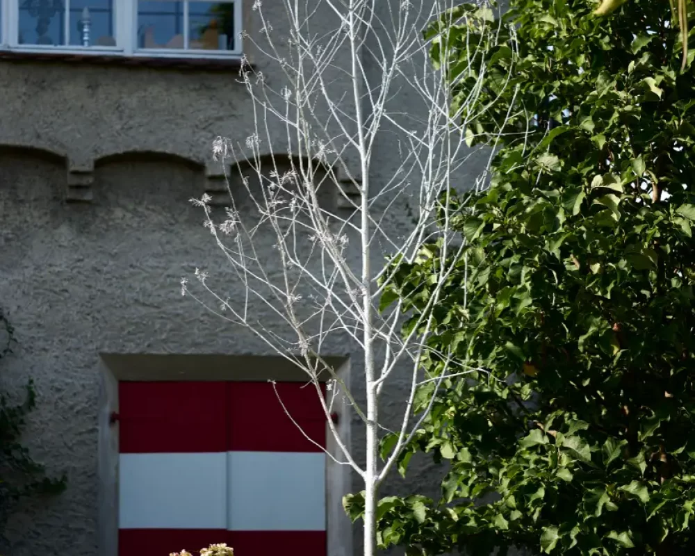 Ausstellung von Anna-Amanda Steurer bei der Galerie Fritz